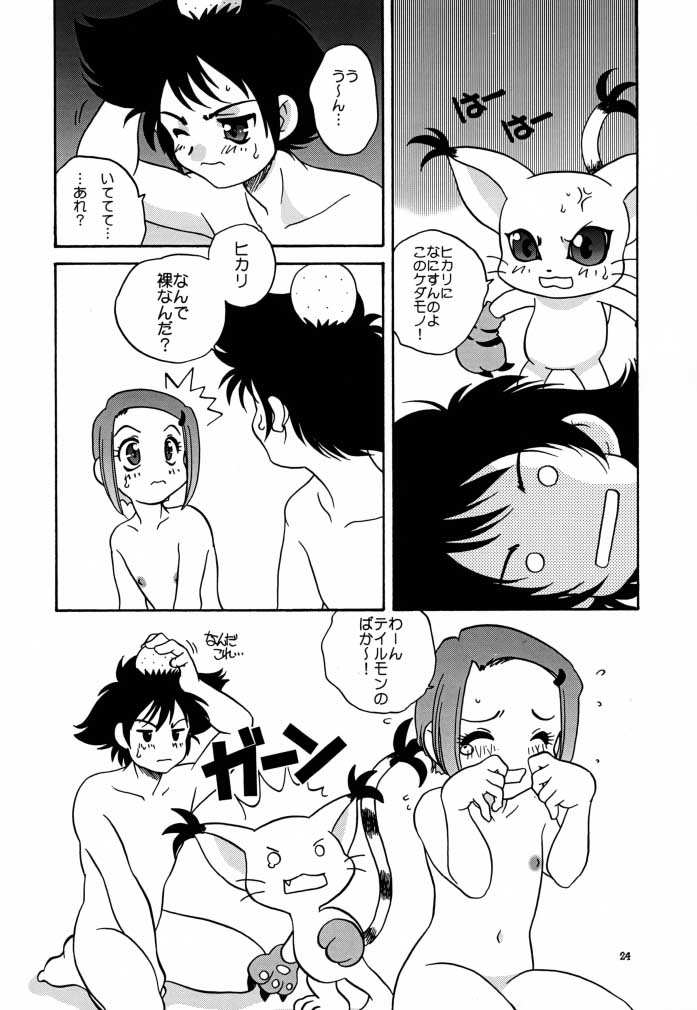 (C58) [ししゃもハウス (あらきあきら)] デジ本02 (デジモンアドベンチャー02)