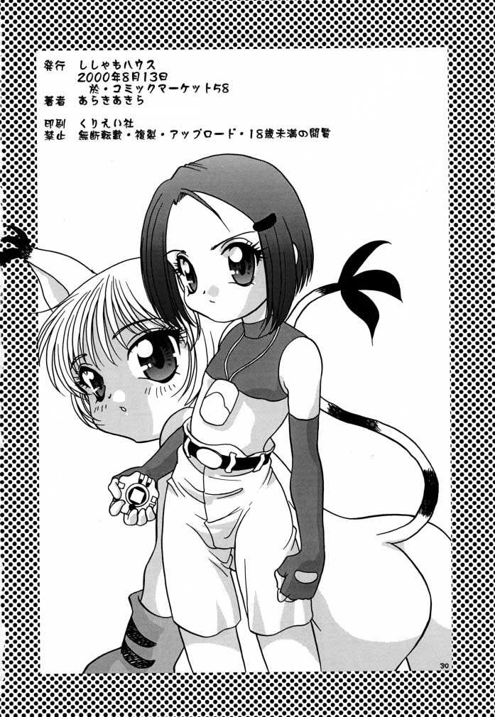 (C58) [ししゃもハウス (あらきあきら)] デジ本02 (デジモンアドベンチャー02)