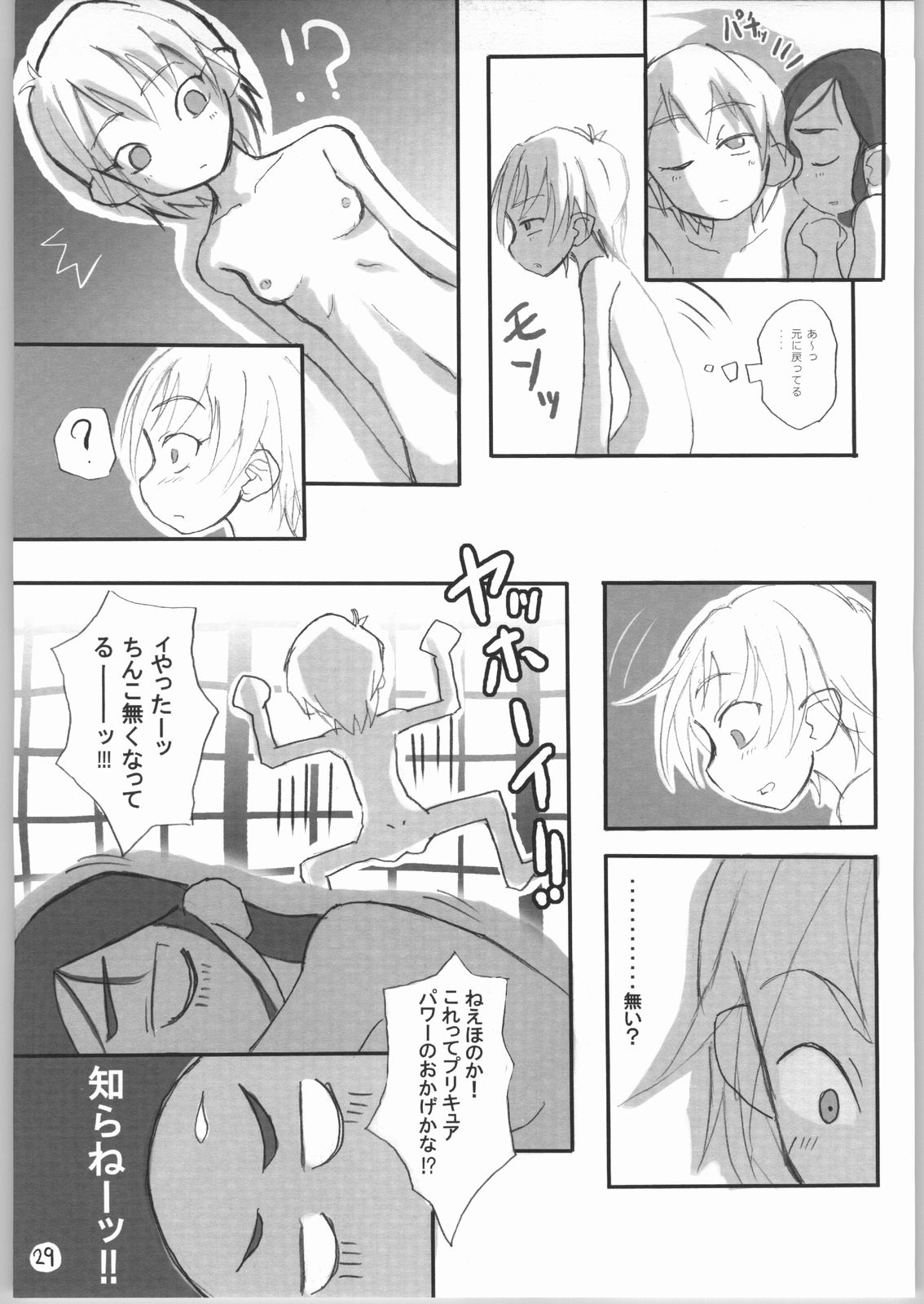 (ぷにケット10) [アーマードギンカクジ (めいびい)] ヘテランテラ (ふたりはプリキュア)