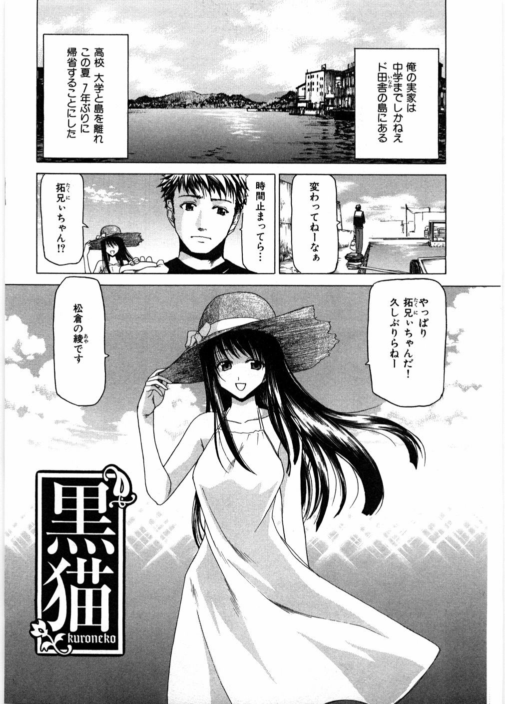 [堀博昭] 女教師亮子の穴