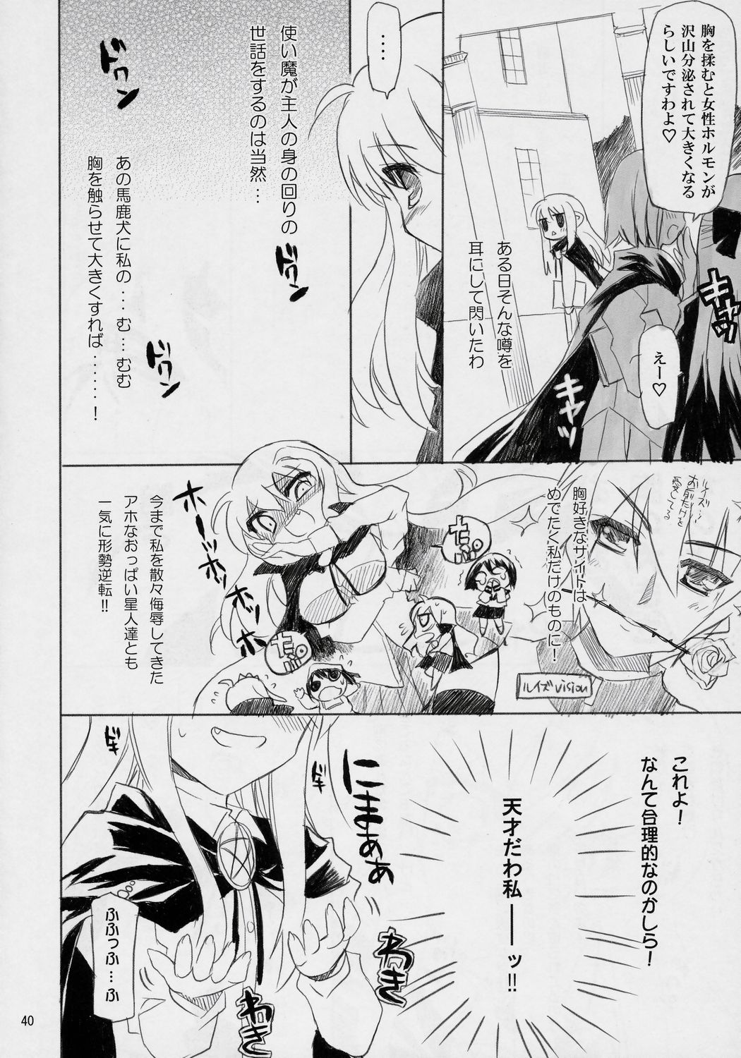 (COMIC1) [DREAMS (よろず)] 万有犬力の法則 るいZoo (ゼロの使い魔)