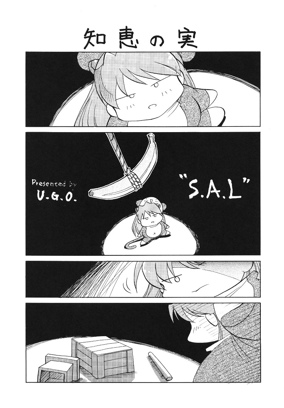 (C54) [UGO (荷馬車揺)] SAL (新世紀エヴァンゲリオン)