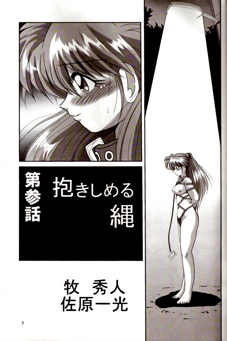 [サーティセイバーストリート・2D-シューティング (牧秀人, 佐原一光)] セカンド捕縛プロジェクト2 (新世紀エヴァンゲリオン)