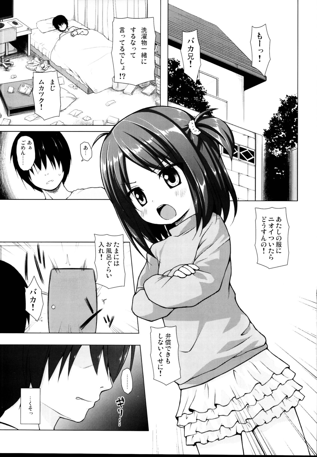 (C95) [ノラネコノタマ (雪野みなと)] となり町の色模様 ノラネコノタマ総集編