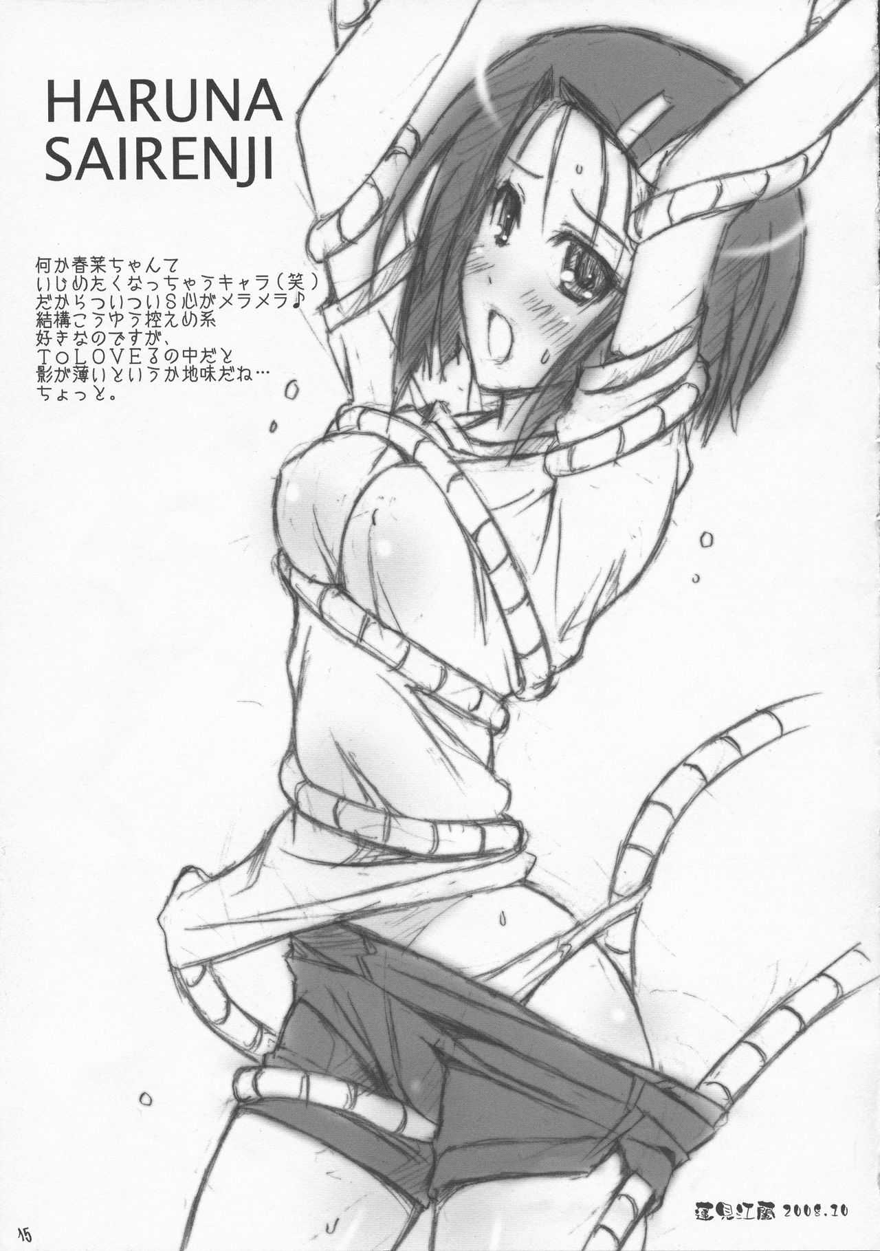 (サンクリ41) [ハッピーパラノイア、漆黒のJ.P.S. (和南城ジョアンナ、蓮見江蘭)] FLAME UP (To LOVEる -とらぶる-)