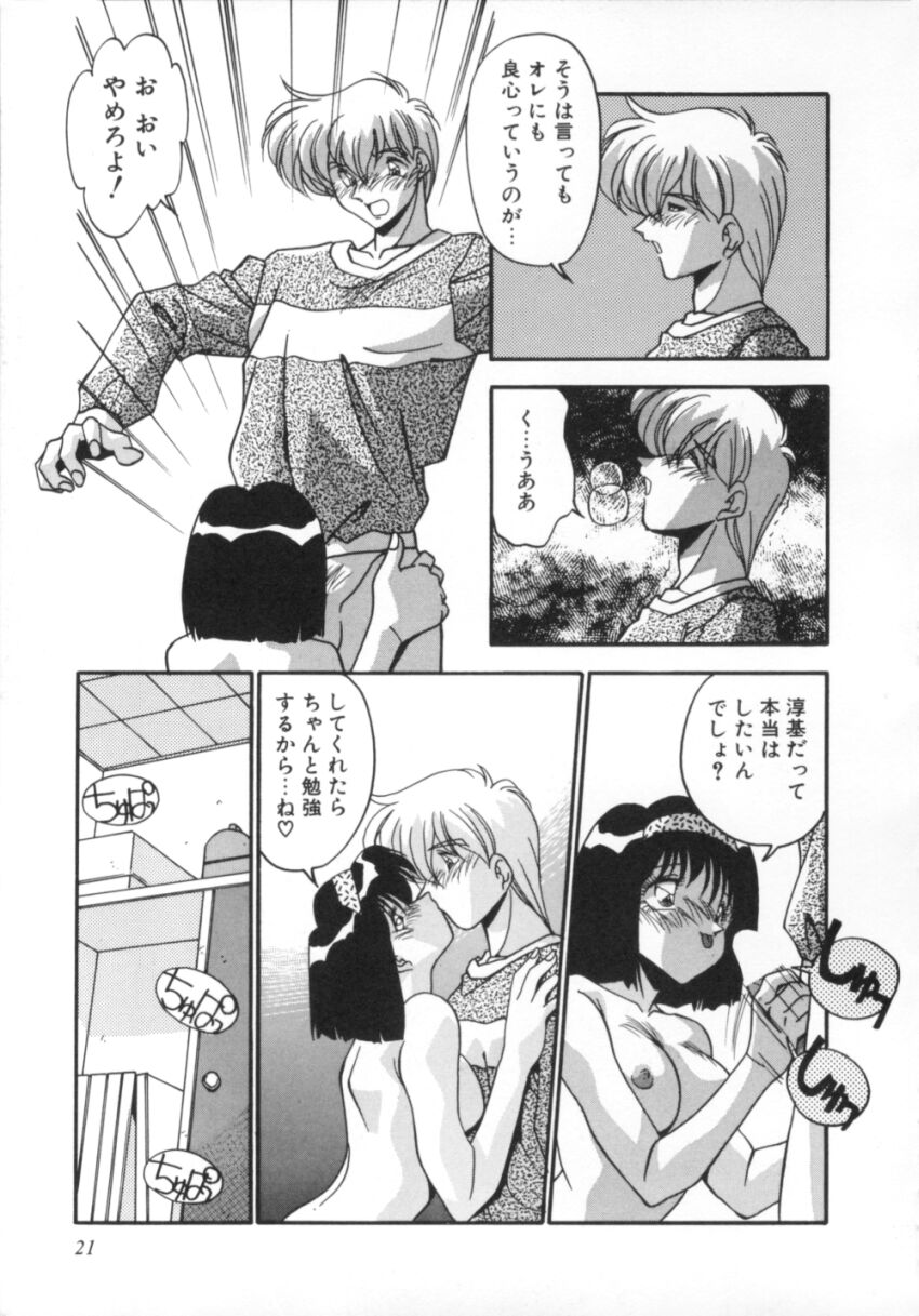 [ひんでんブルグ] 気分はビビデバビデブ