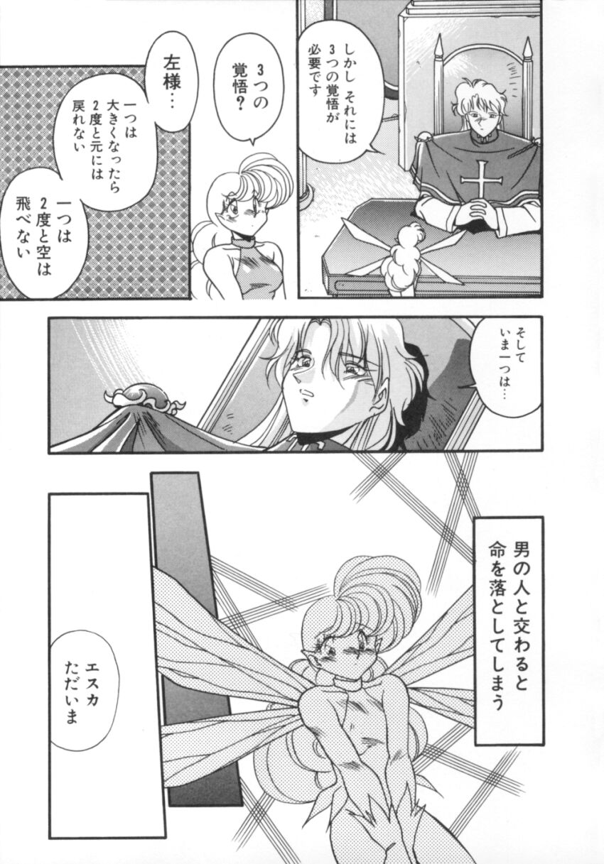 [ひんでんブルグ] 気分はビビデバビデブ
