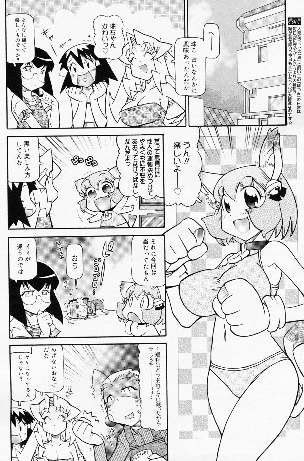 漫画ばんがいち 2008年7月号 VOL.227