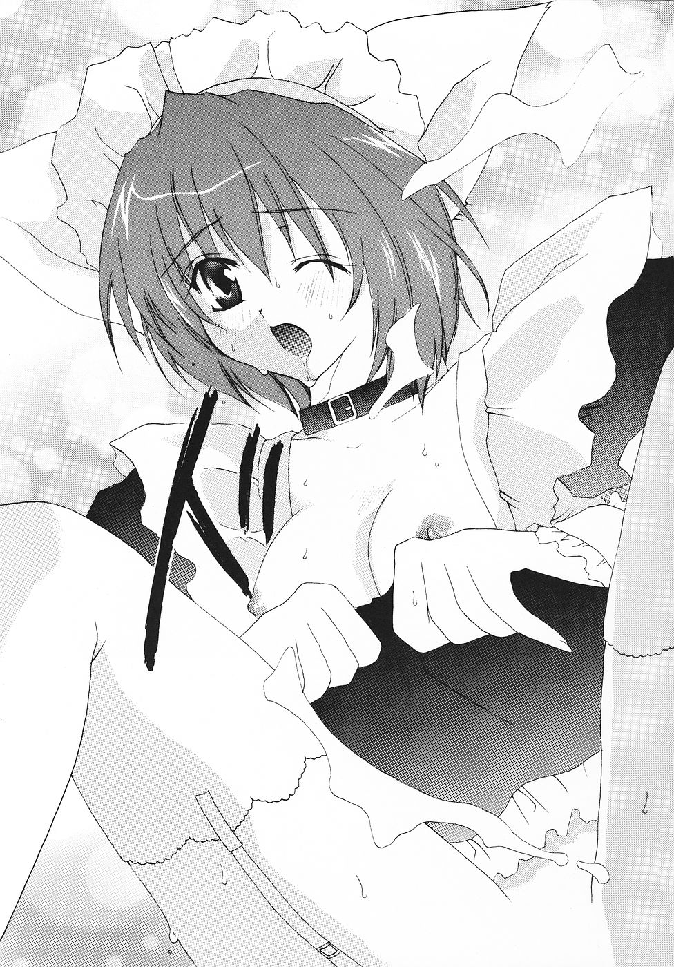 【あひるといしょ】フルーツドロップ（こみっくパーティー）