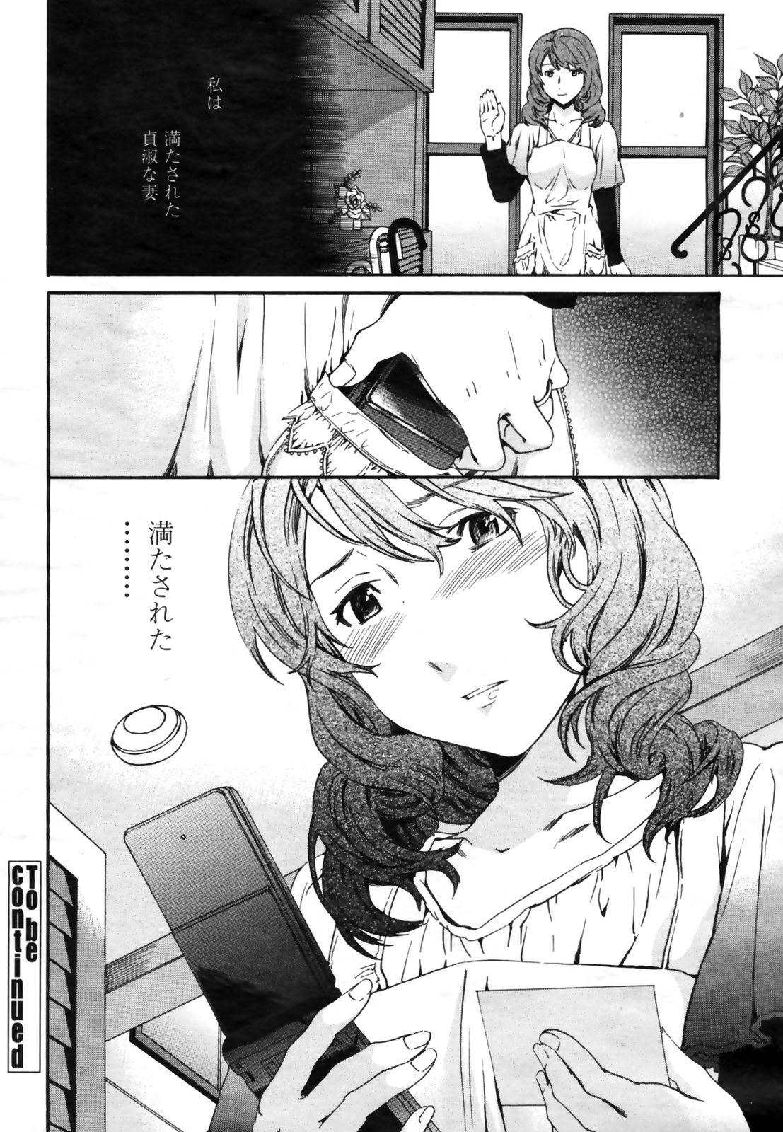 COMIC桃姫 2009年3月号 VOL.101