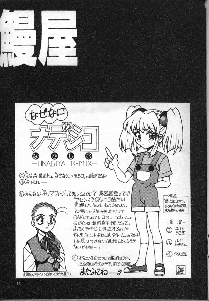[FITS PROJECT] ナデシコで行こう! (機動戦艦ナデシコ)