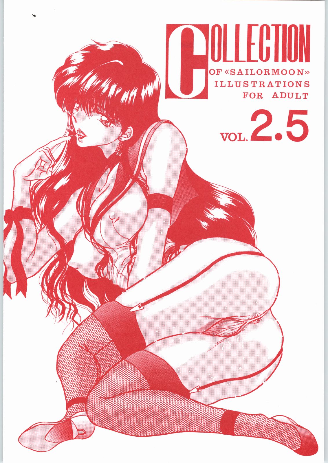 (C55) [エネルギヤ出版所 (ロシヤの脱走兵)] COLLECTION OF -SAILORMOON- ILLUSTRATIONS FOR ADULT Vol.2 (美少女戦士セーラームーン)