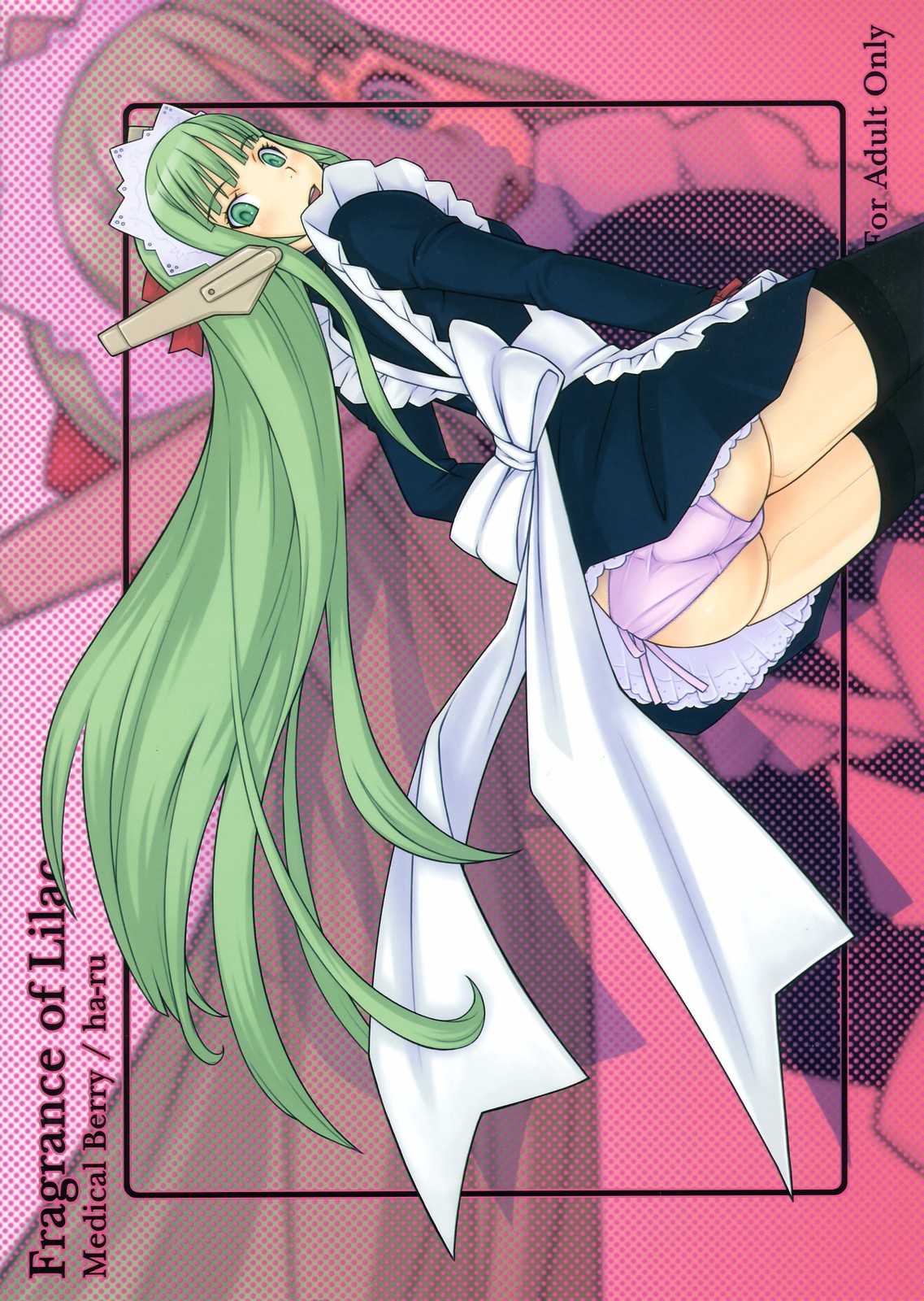(C70) [Medical Berry (ha-ru)] Fragrance of Lilac (魔法先生ネギま!)