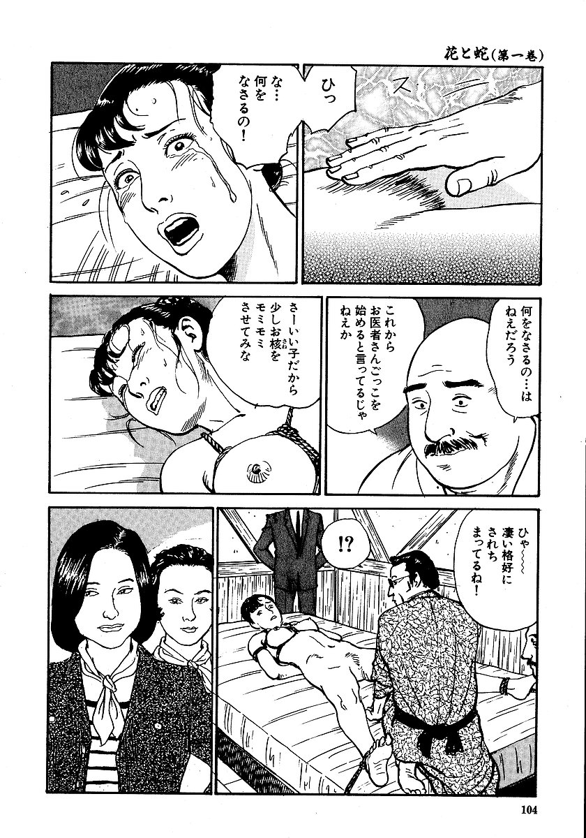 [長田要, 団鬼六] 花と蛇 第一集