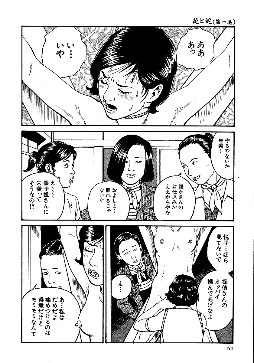 [長田要, 団鬼六] 花と蛇 第一集