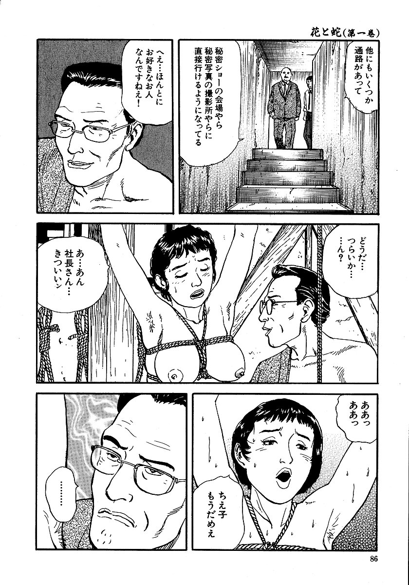 [長田要, 団鬼六] 花と蛇 第一集