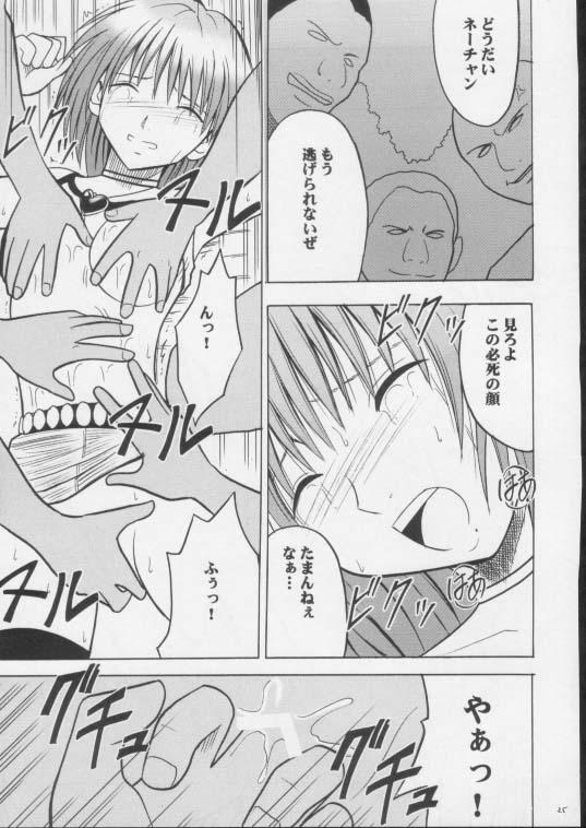 【クリムゾンコミックス】リンスレット4ムシバミ（黒猫）