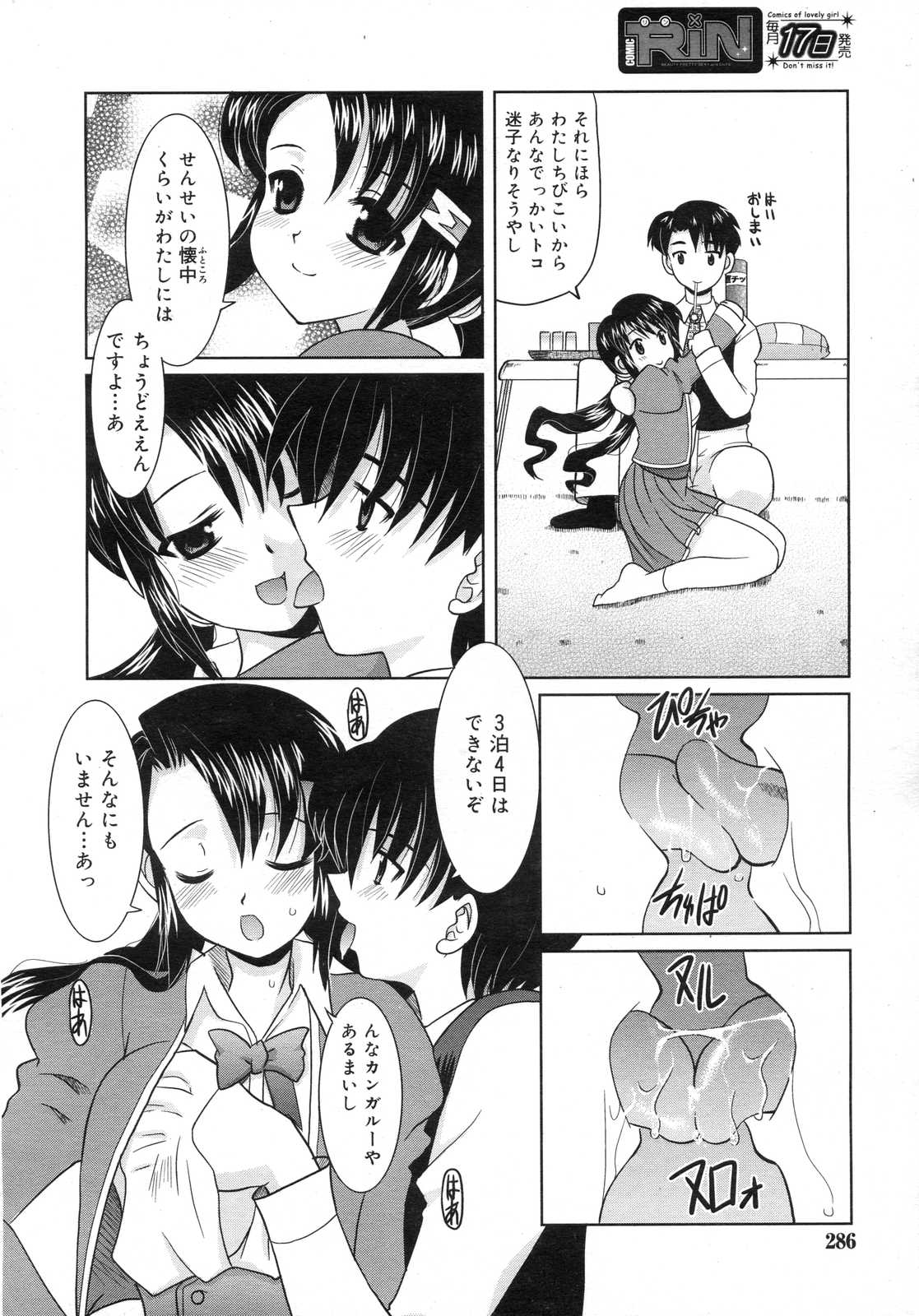 Comic RIN Vol. 25 2007年 1月