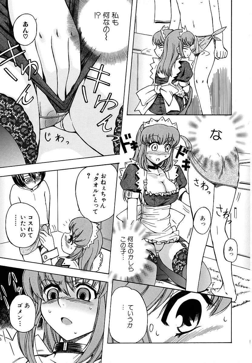 [犬] 初犬