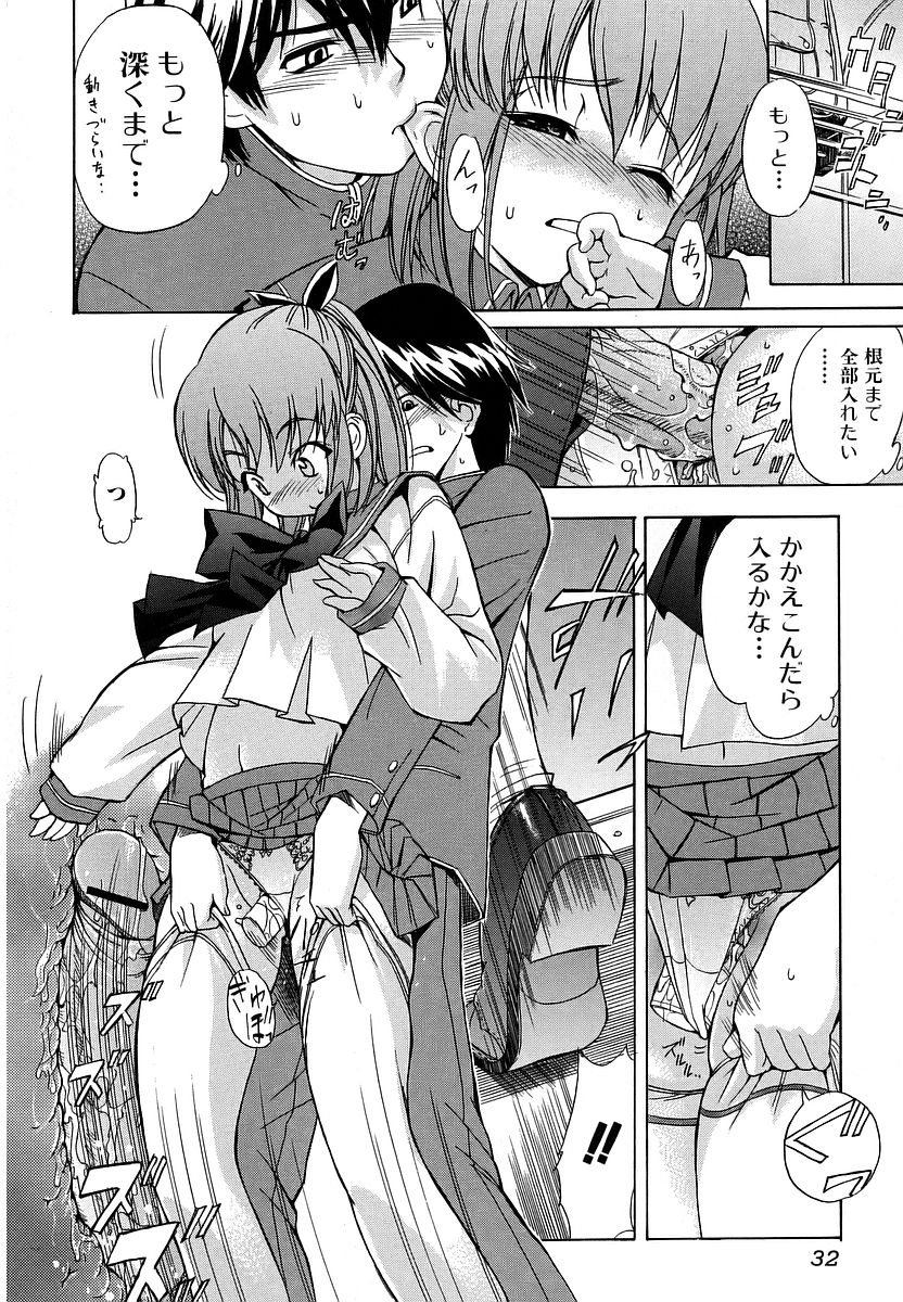[犬] 初犬