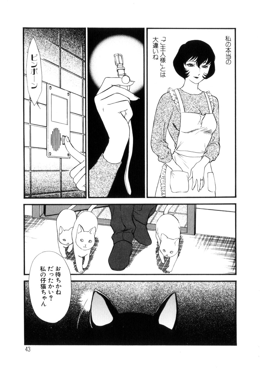[ふじいあきこ、秋山道夫] 人妻模様4 悦り妻