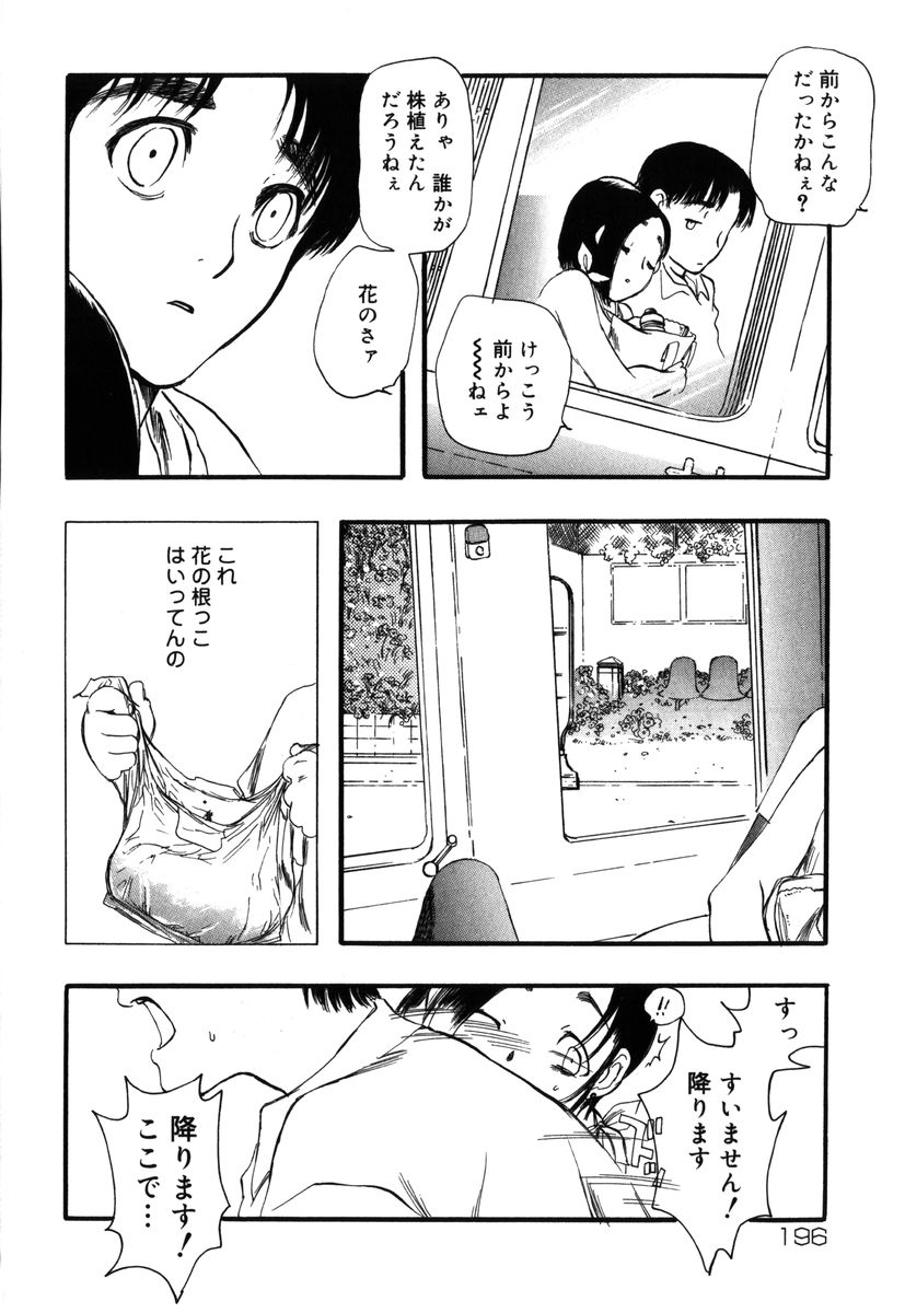 [吉田ふらわ] フラワー・コンプレックス