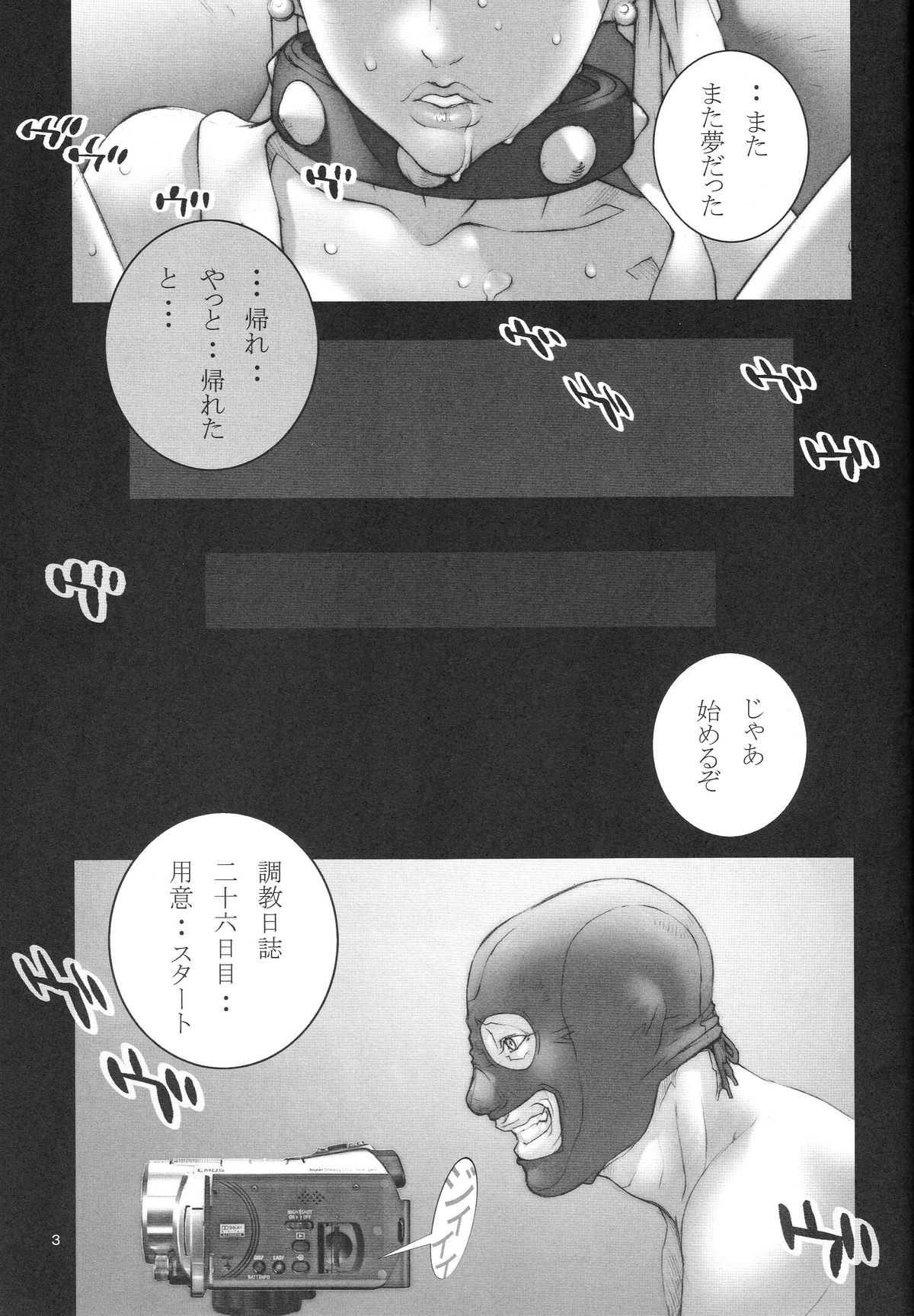 (C74) [P-collection (のりはる)] はるうらら (ストリートファイター)
