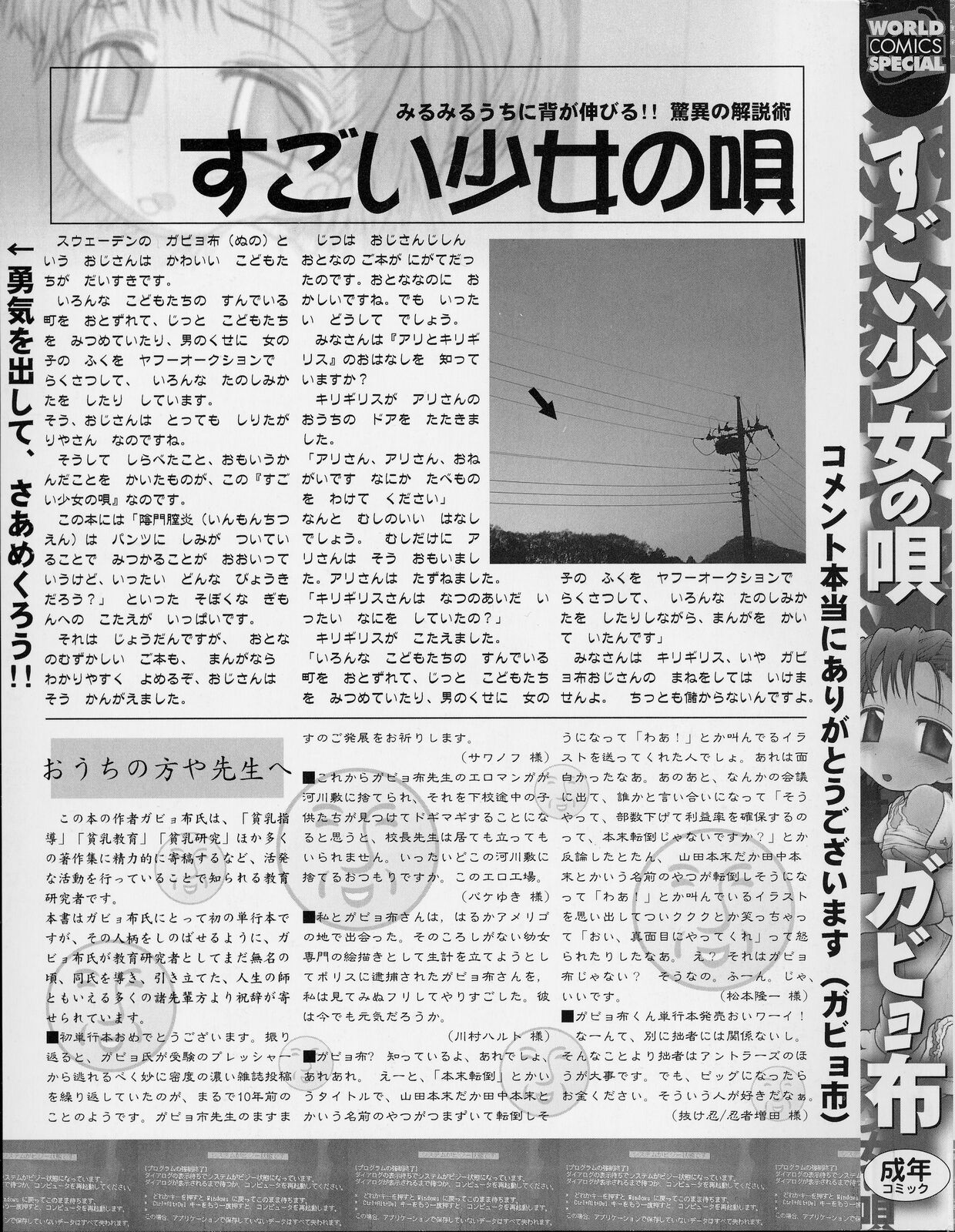 [ガビョ布] すごい少女の唄