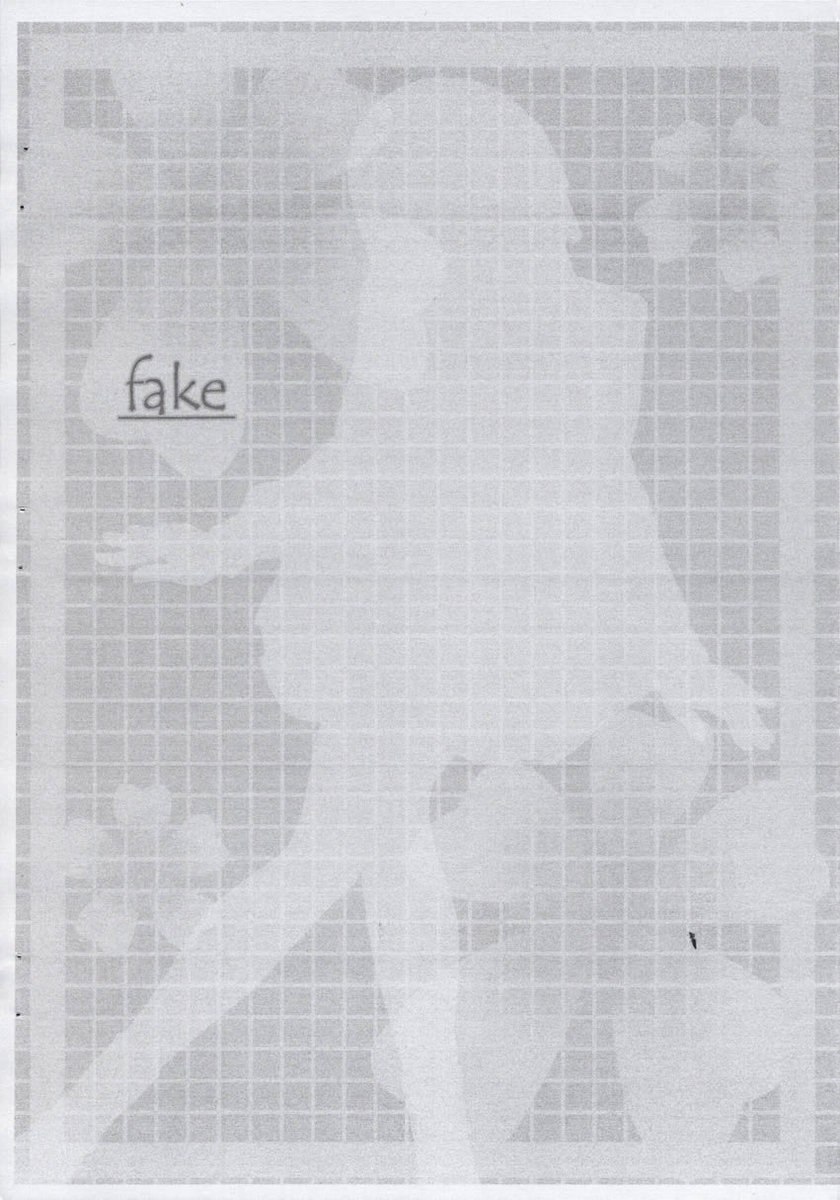 [童話建設 (野村輝弥)] fake (Fate/stay night)