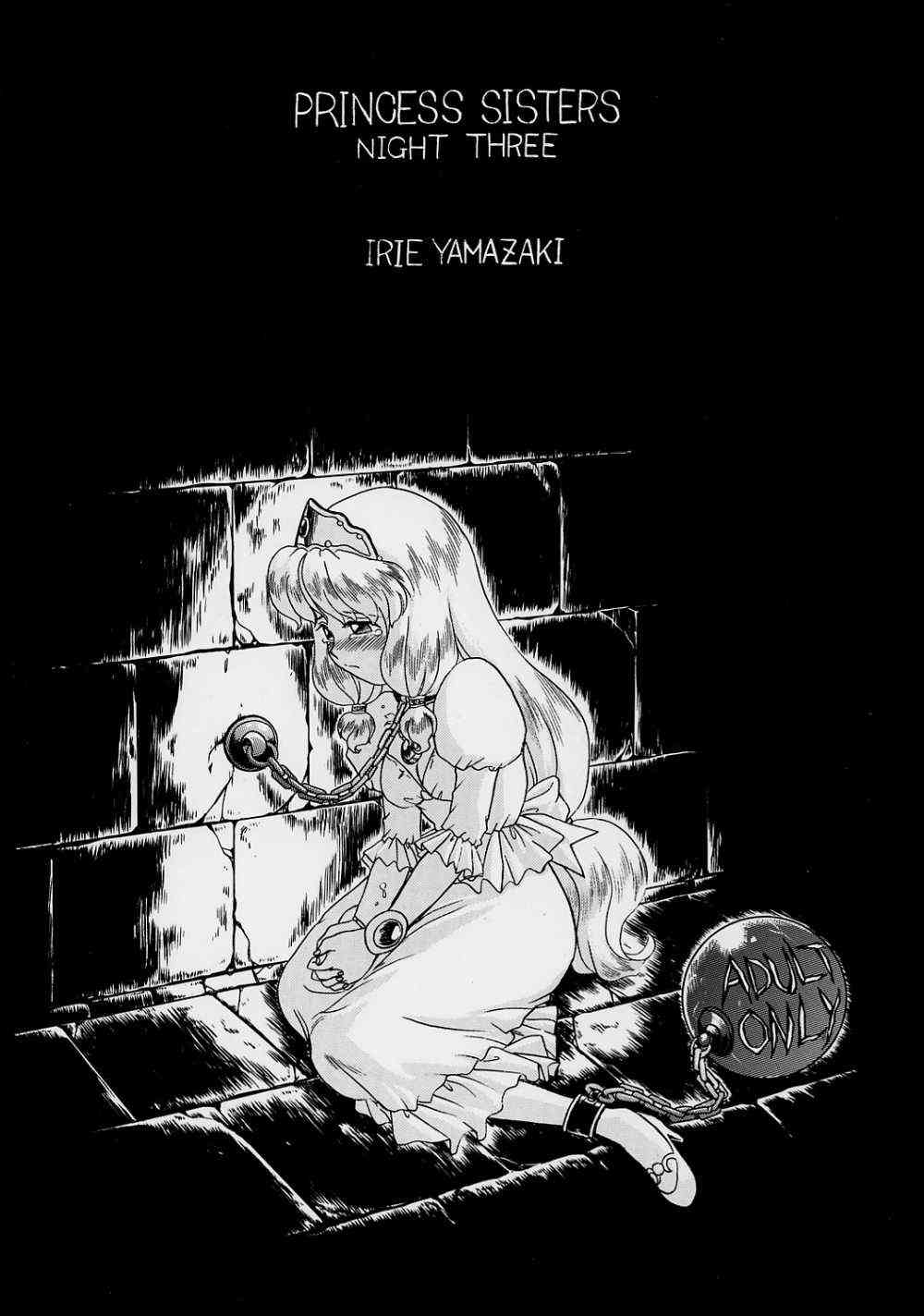 (C56) [RAT TAIL (IRIE YAMAZAKI)] PRINCESS SISTERS NIGHT THREE