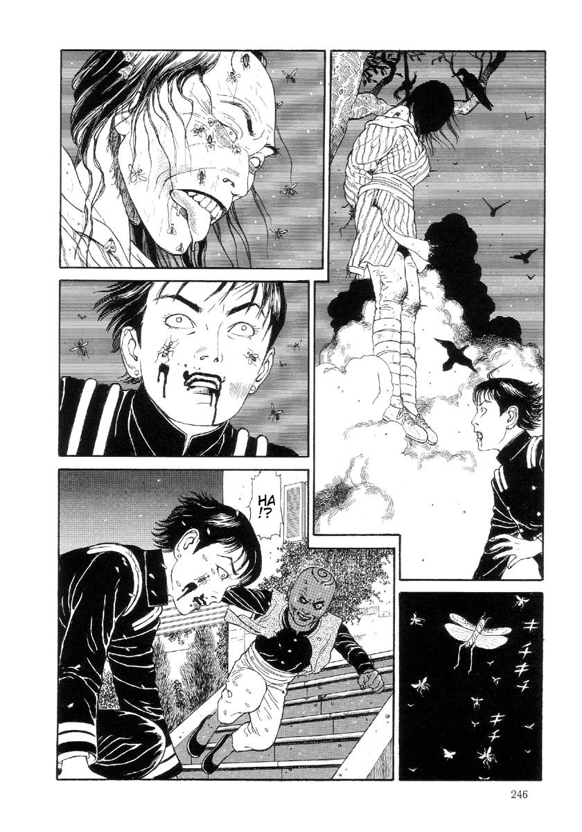 [丸尾末広] ハライソ／笑う吸血鬼２ [英訳]