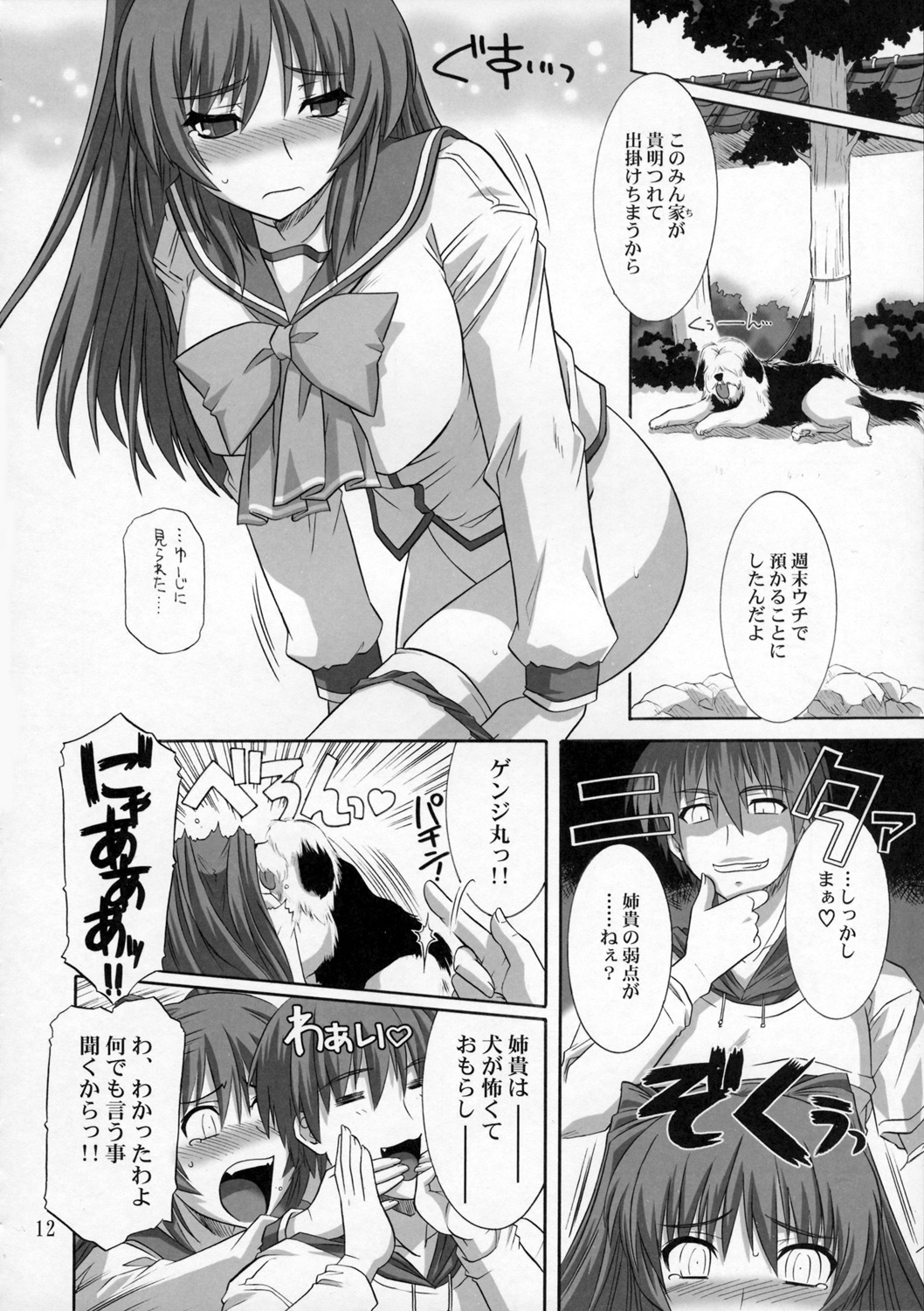 (C69) [CAZA MAYOR (つつみあかり)] ToyHeart vol.3 (トゥハート2)