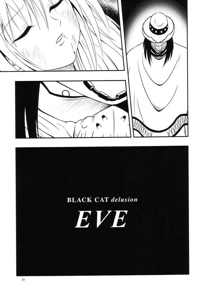 (C66) [実用図書普及会R (ほたるり、 ぴの)] 常用六號 (ブラックキャット)