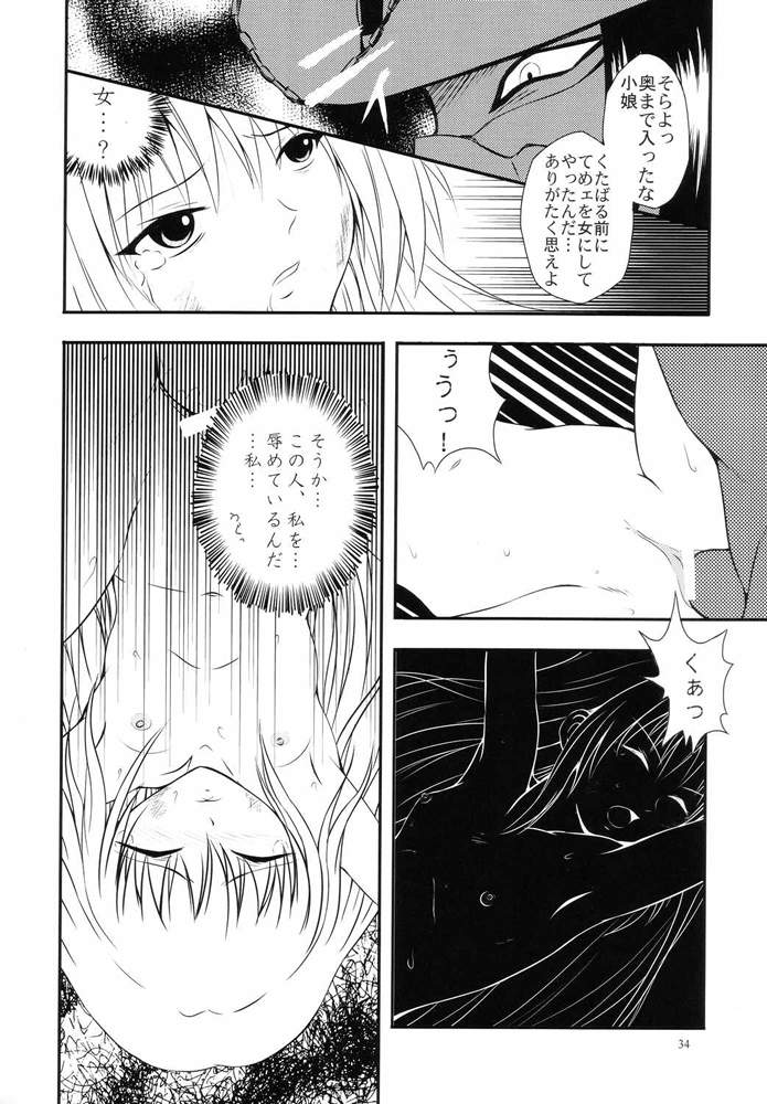 (C66) [実用図書普及会R (ほたるり、 ぴの)] 常用六號 (ブラックキャット)