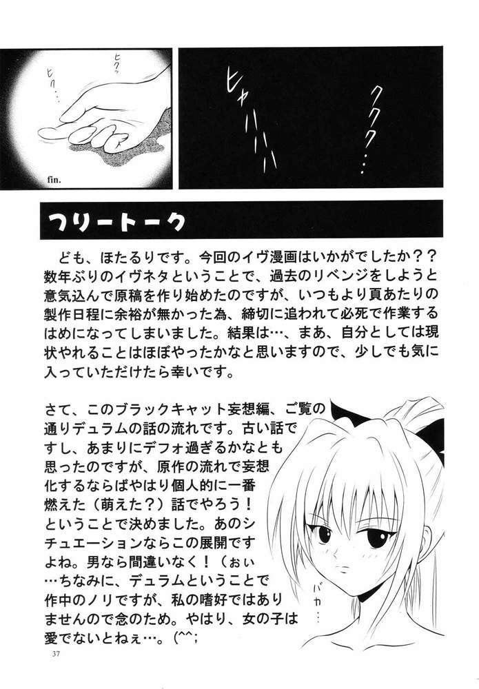 (C66) [実用図書普及会R (ほたるり、 ぴの)] 常用六號 (ブラックキャット)