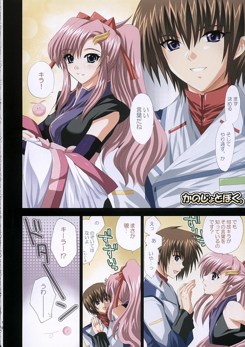 (C68) [FANTASY WIND (しなのゆら)] satisfy (機動戦士ガンダム SEED DESTINY)