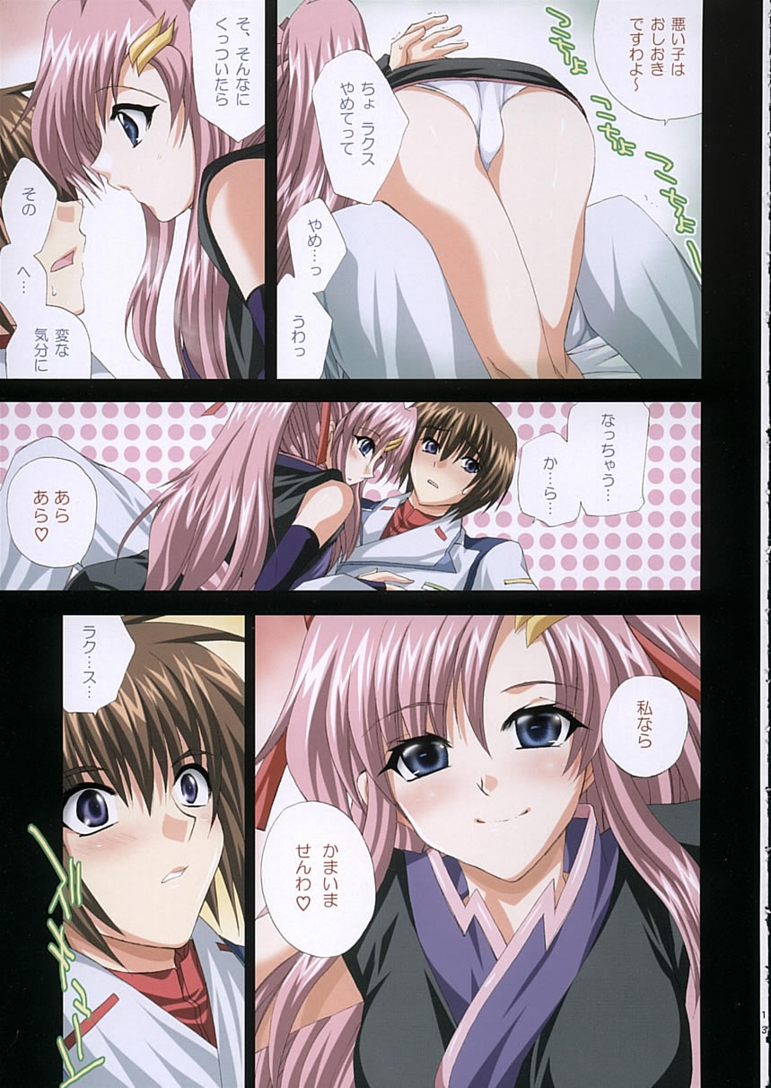 (C68) [FANTASY WIND (しなのゆら)] satisfy (機動戦士ガンダム SEED DESTINY)