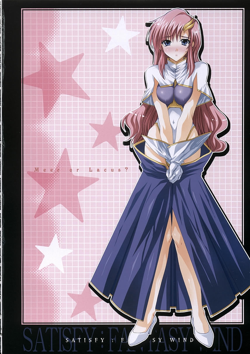 (C68) [FANTASY WIND (しなのゆら)] satisfy (機動戦士ガンダム SEED DESTINY)