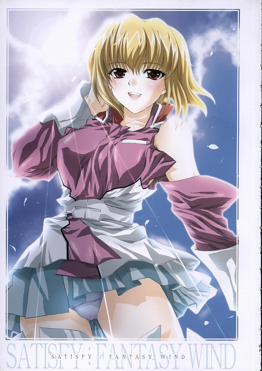 (C68) [FANTASY WIND (しなのゆら)] satisfy (機動戦士ガンダム SEED DESTINY)