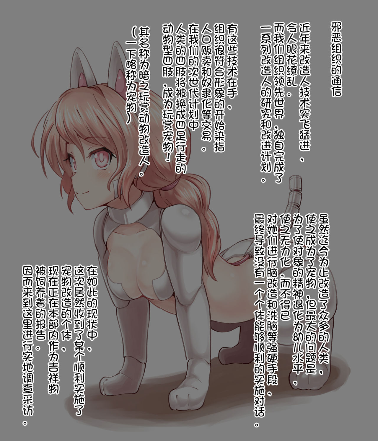 [カニフライ (Kanif)] 人口愛玩動物 [中国翻訳]