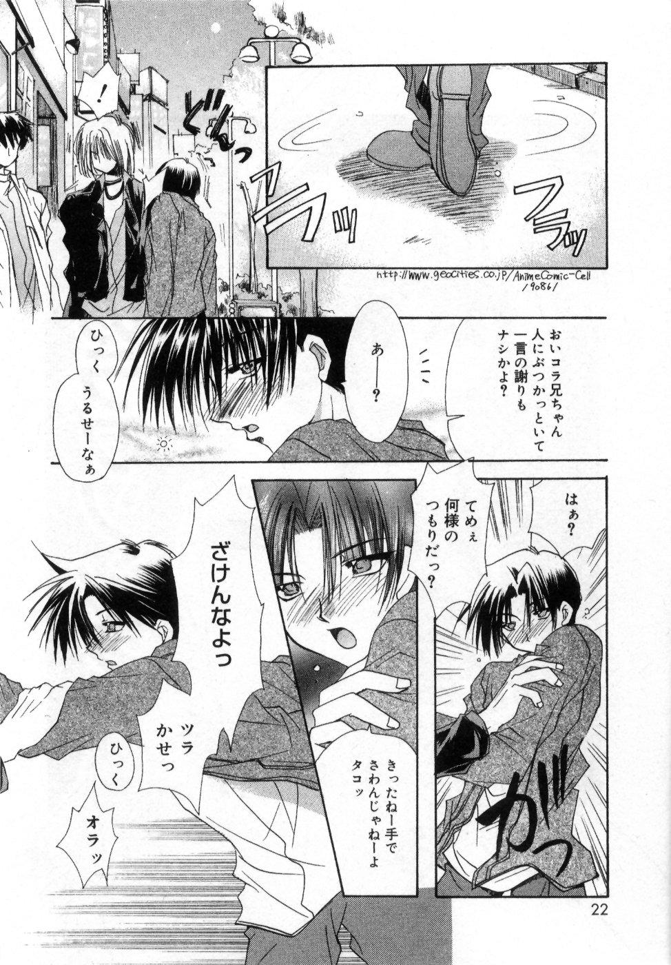 [龍牙翔] 僕の白い花