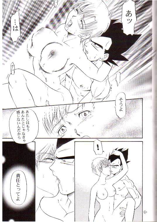 (C66) [龍神会 (HITOりぶき)] CHEAP THRILLS (ドラゴンボールZ)