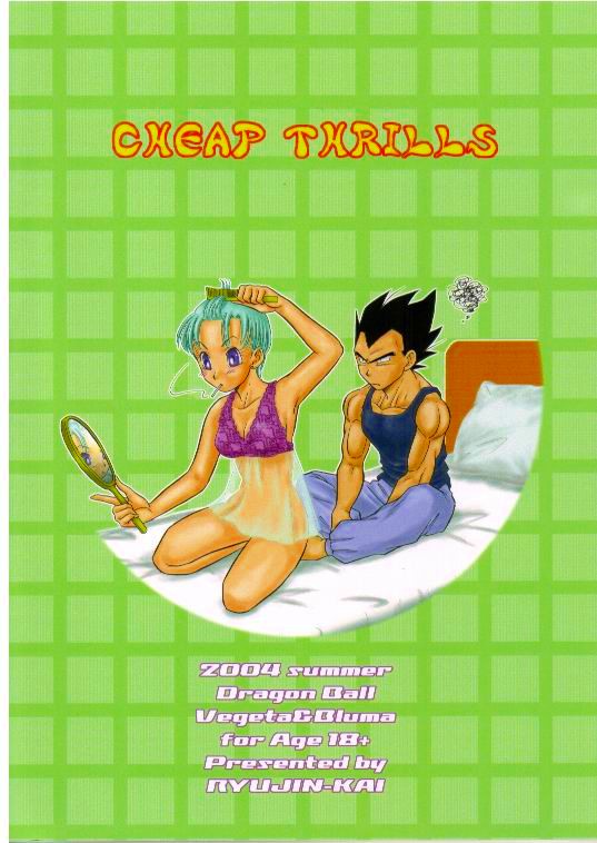 (C66) [龍神会 (HITOりぶき)] CHEAP THRILLS (ドラゴンボールZ)