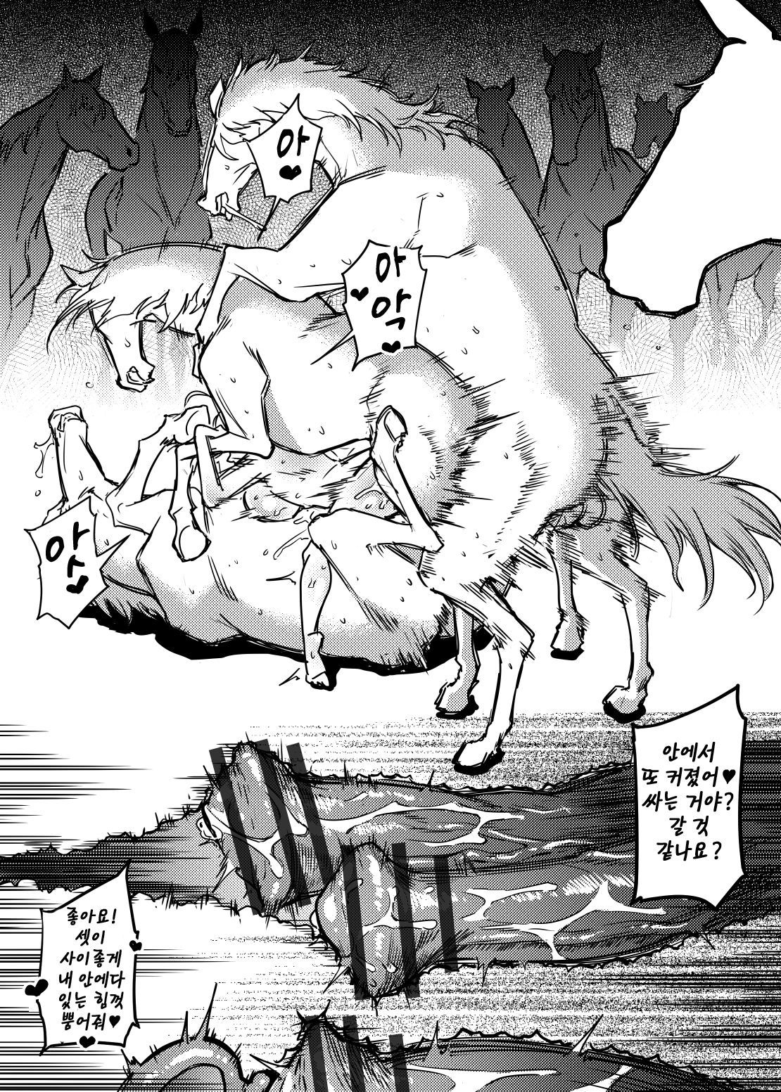 白馬うまにノラレル岸