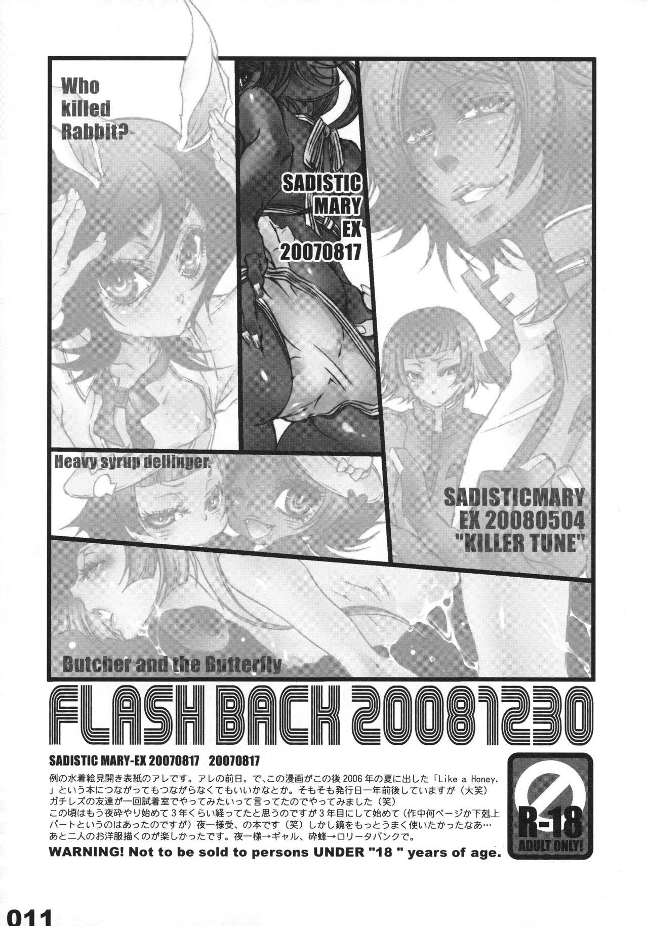 フラッシュバック20081230