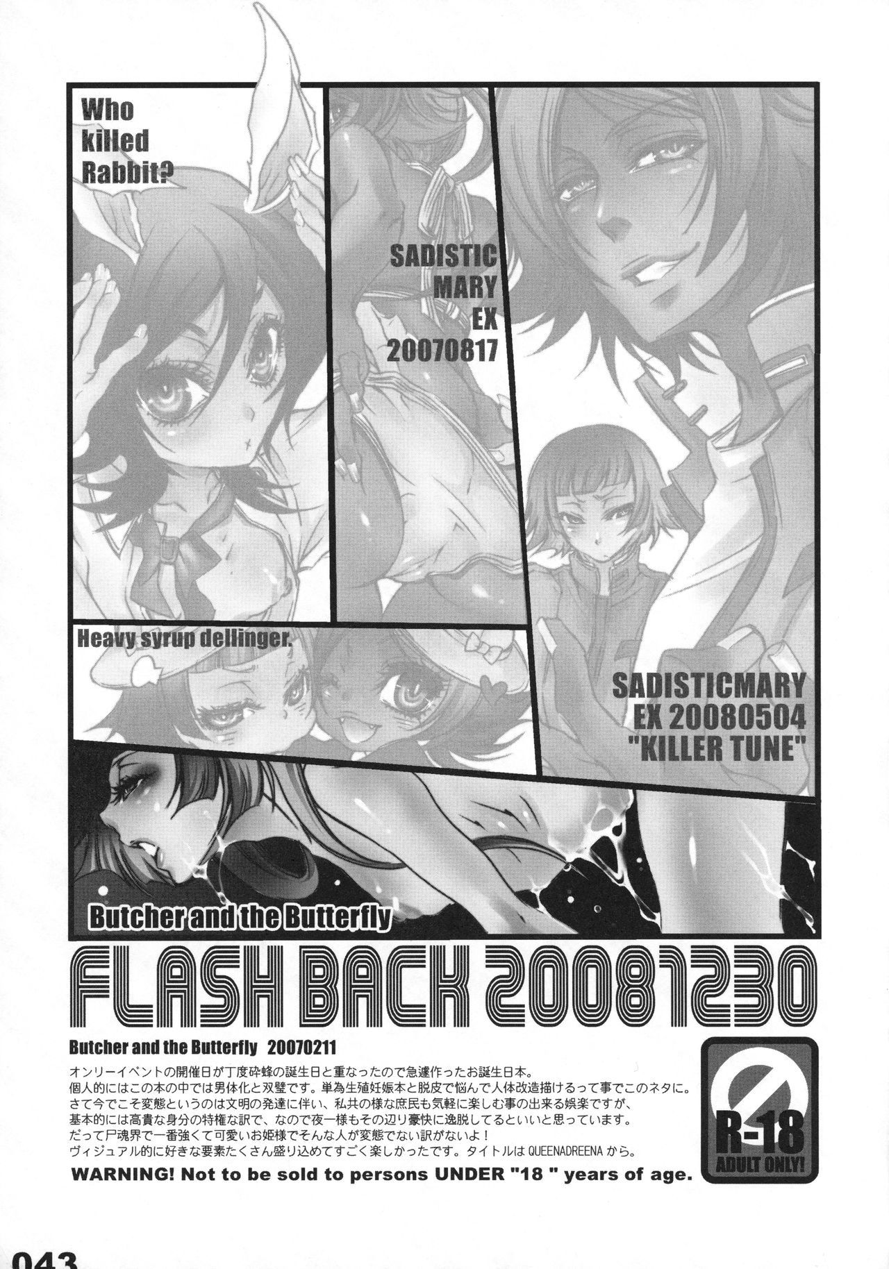 フラッシュバック20081230