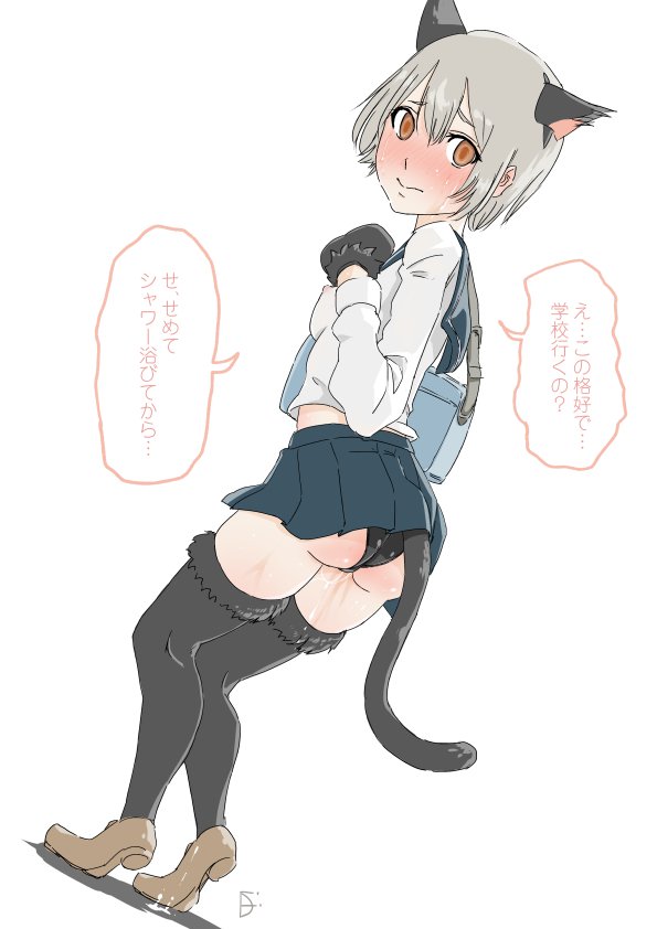 猫いじり