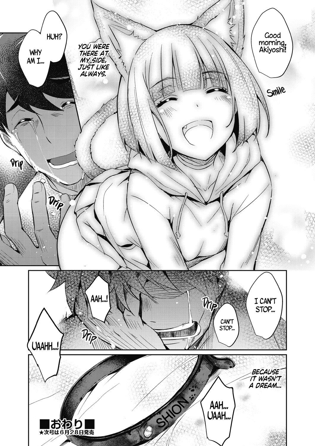 しおんの王|シオンの花