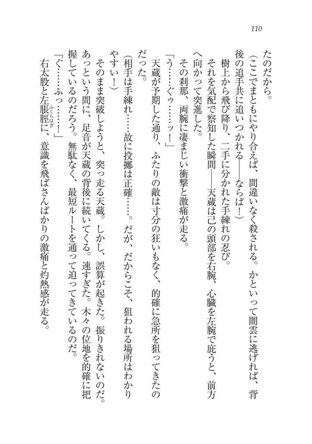 戦国洋子キタンモノノケ巫女と武田の忍