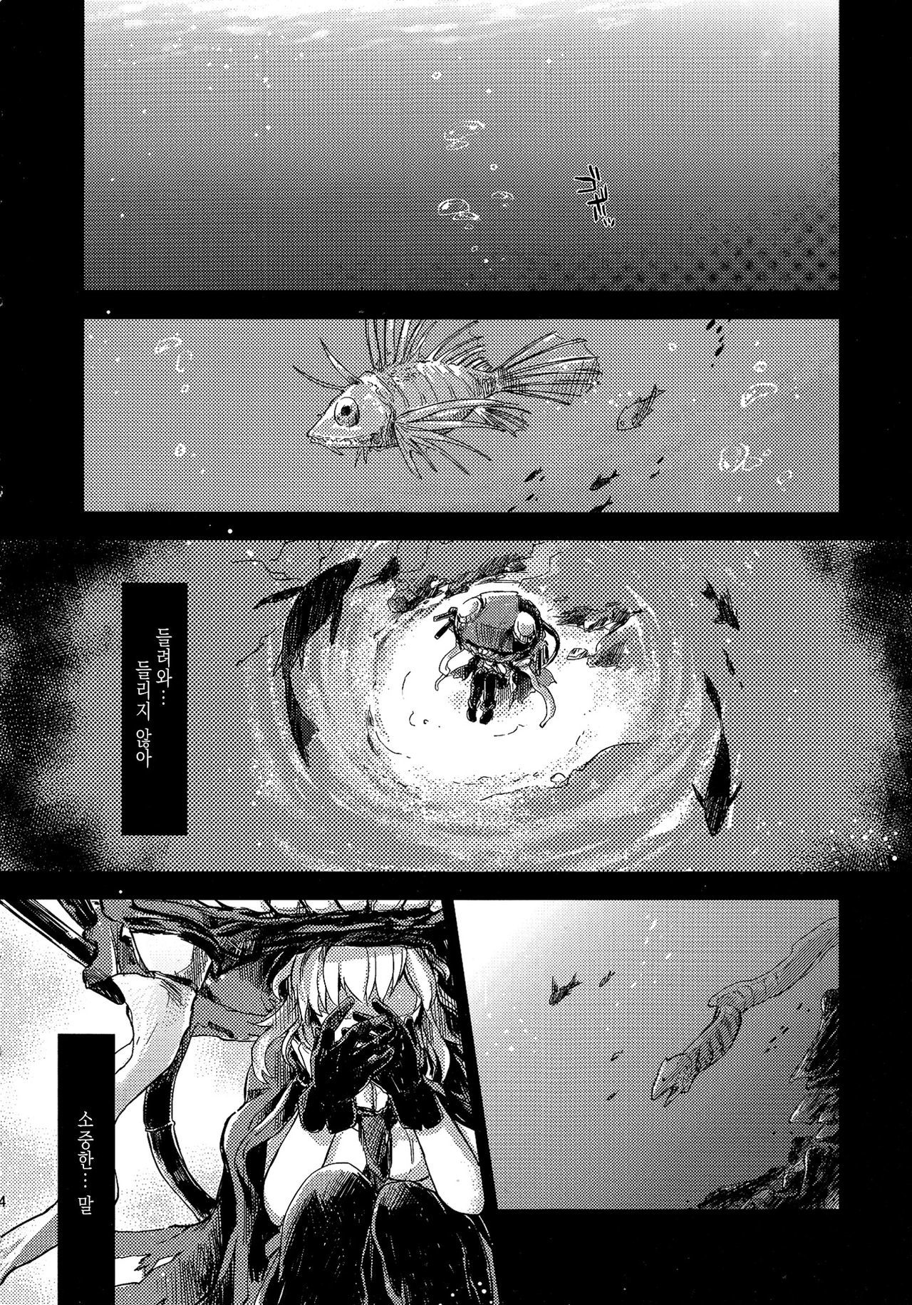エコー